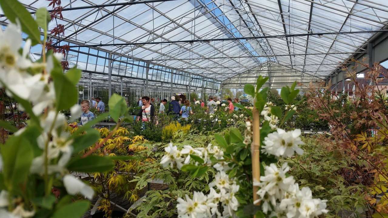 Vertrouwen op schrobben heilig Tuincentrum Zwolle → Bezoek ons!