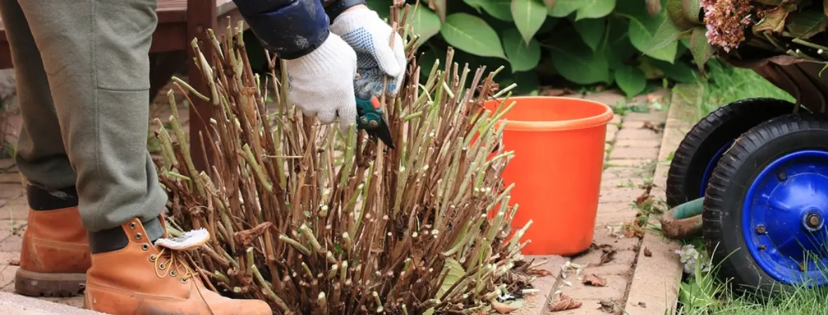 Winterstekken Tuintips