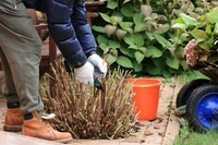 Zo neem je winterstekken