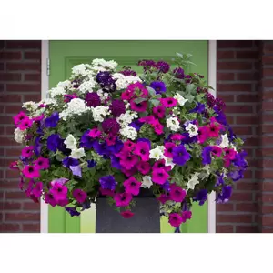 Opaal Venezia 100 cm