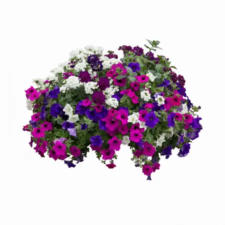 Opaal Venezia 80 cm - afbeelding 1