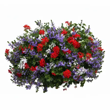 Orkaan aqua top 40 cm zonder bak